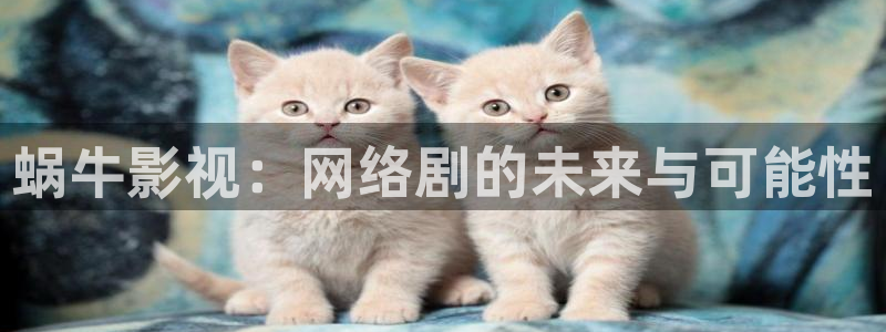 飘雪影视大全免费观看视频