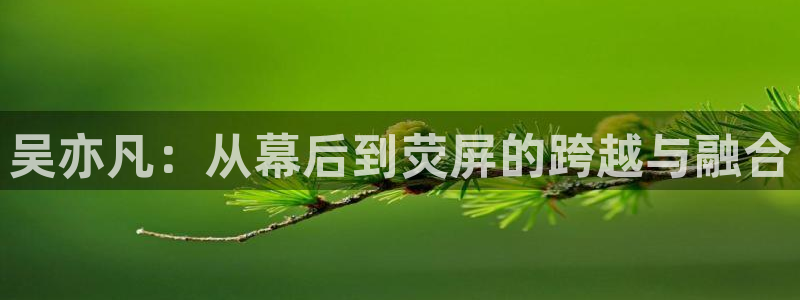 飘雪影院完整版