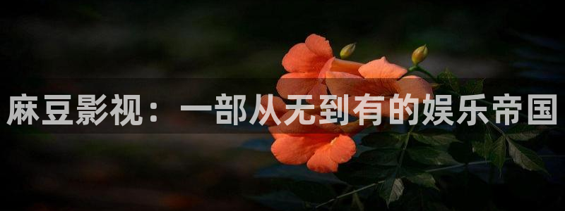 飘雪影院在线观看免费高清完整电影